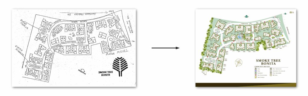 before and after smoke tree bonita - Site Map