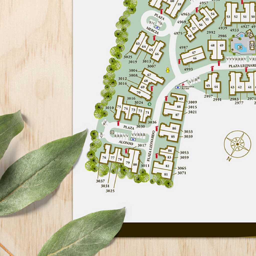 Smoke Tree Bonita cropped - Site Map