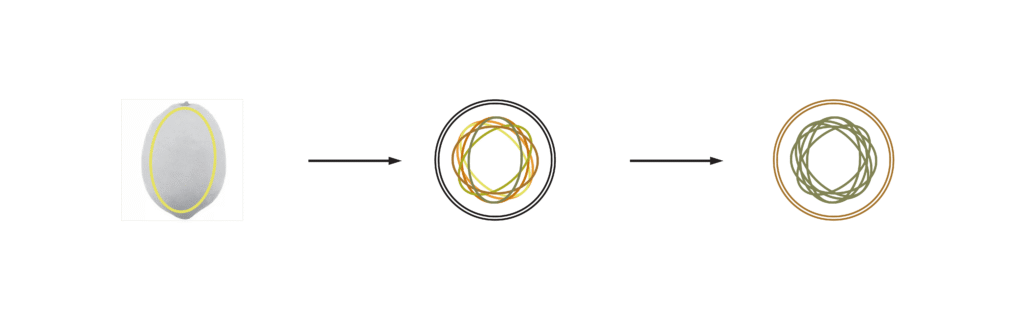 Citrino icon development